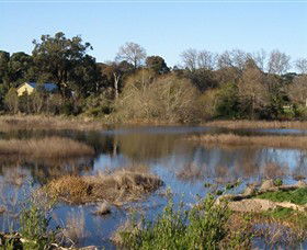 Coolart Wetlands And Homestead - Accommodation Noosa 0