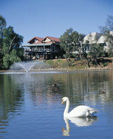 Avon River - Accommodation Noosa 3