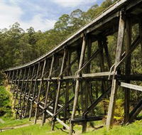 Noojee Trestle Bridge - Accommodation Noosa