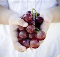 Granitevale  Estate Winery - Accommodation Noosa