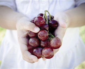 Granitevale  Estate Winery - Accommodation Noosa 0