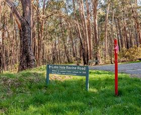 Lobs Hole Ravine 4WD Trail - Accommodation Noosa 0