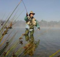 Lake Wallace - Accommodation Noosa