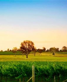 Canberra District Wineries - Accommodation Noosa 0