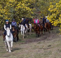 Burnelee Excursions on Horseback - Accommodation Noosa