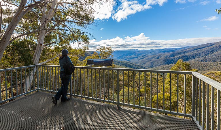 Bolaro NSW Accommodation Noosa