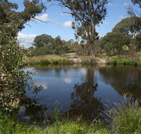Cooleman Ridge - Accommodation Noosa