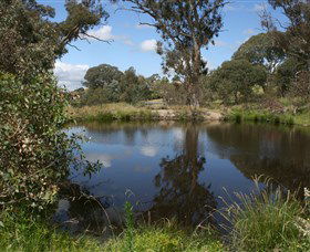 Cooleman Ridge - Accommodation Noosa 0