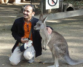 Activity Tours Australia - Accommodation Noosa 3