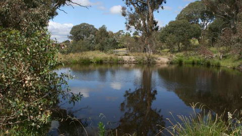 Cooleman Ridge - Accommodation Noosa 3