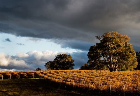 Clonakilla Wines - Accommodation Noosa 8