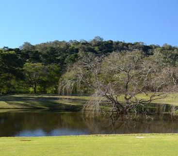 Antill Park Country Golf Club - Accommodation Noosa 1
