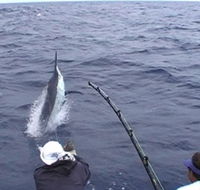 Amokura Charters - Accommodation Noosa