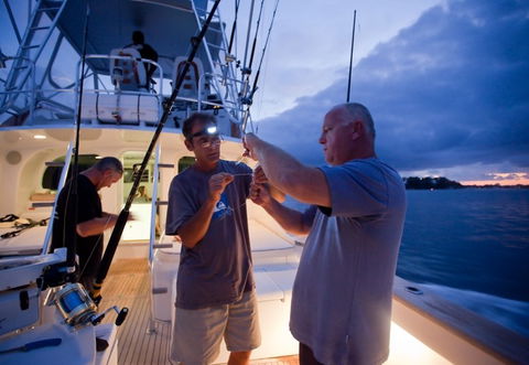Amokura Charters - Accommodation Noosa 1