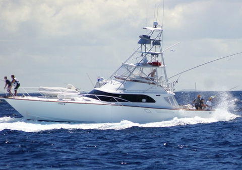 Amokura Charters - Accommodation Noosa 2