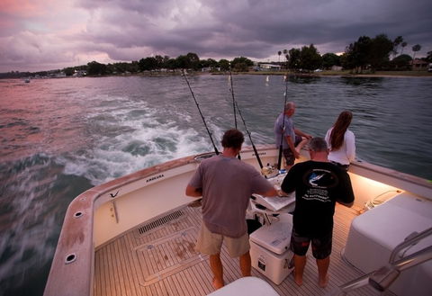 Amokura Charters - Accommodation Noosa 3