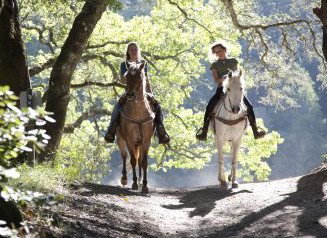 Hunter Valley Horse Riding And Adventures - Accommodation Noosa 1