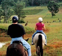 Hunter Valley Horse Riding And Adventures - Accommodation Noosa 3