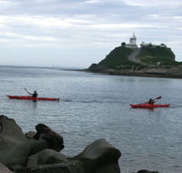 Newcastle Kayak Tours - Accommodation Noosa
