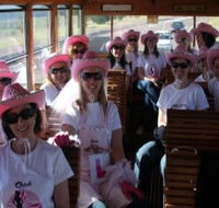 Newcastles Famous Tram - Accommodation Noosa