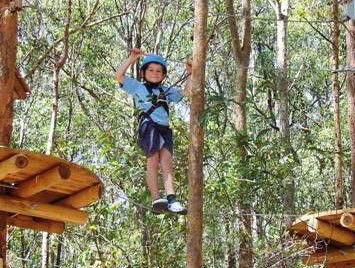 TreeTops Newcastle - Accommodation Noosa 0