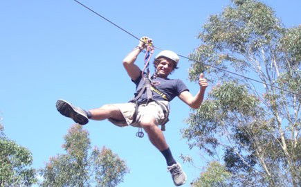 TreeTops Newcastle - Accommodation Noosa 1