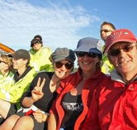 Byron Bay Whale Watching - Accommodation Noosa
