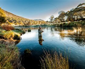 Tumut NSW Accommodation Noosa