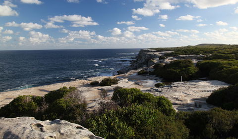 Cape Solander - Accommodation Noosa 0