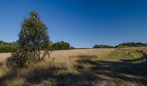 Scheyville Horse Riding Trails - Accommodation Noosa 0