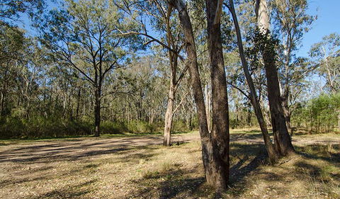 Scheyville Horse Riding Trails - Accommodation Noosa 1