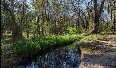 Scheyville Horse Riding Trails - Accommodation Noosa 2