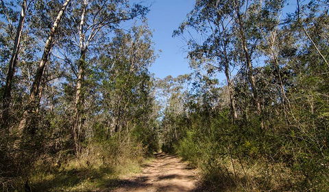 Scheyville Horse Riding Trails - Accommodation Noosa 3