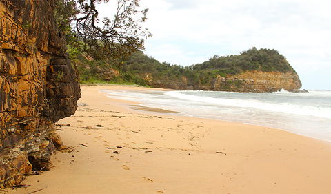 Bouddi Coastal Walk - Accommodation Noosa 1