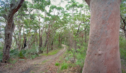 Strom Loop - Accommodation Noosa 3
