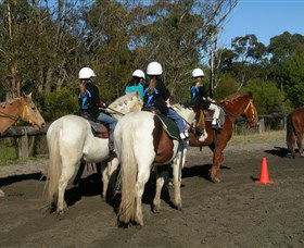 Darkes Forest Riding Ranch - Accommodation Noosa 0