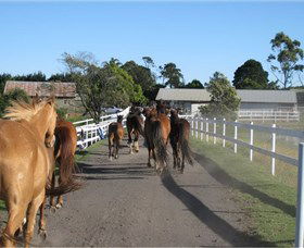 Darkes Forest Riding Ranch - Accommodation Noosa 1