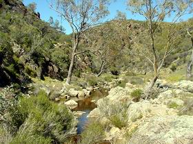 Saunders Gorge Sanctuary - Accommodation Noosa 1
