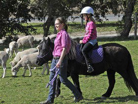 Hahndorf Farm Barn - Accommodation Noosa 2