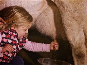 Hahndorf Farm Barn - Accommodation Noosa 1