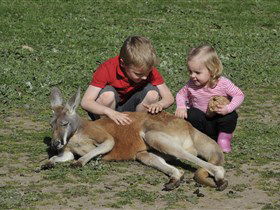 Hahndorf Farm Barn - Accommodation Noosa 3