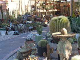 Cactus Creations - Accommodation Noosa 0