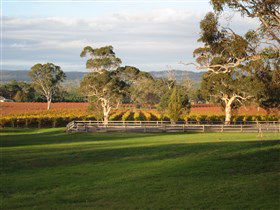 Top Note Vineyard - Accommodation Noosa 0
