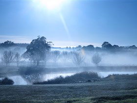 Top Note Vineyard - Accommodation Noosa 3