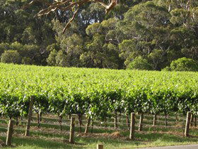Top Note Vineyard - Accommodation Noosa 2