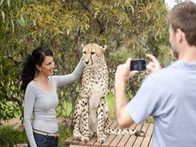 Monarto Open Range Zoo - Accommodation Noosa 1