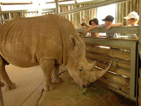 Monarto Open Range Zoo - Accommodation Noosa 2