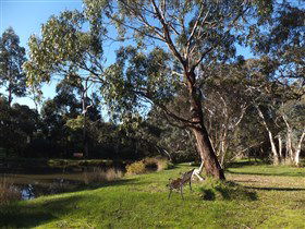 Mount Compass And District Produce And Tourist Trail - Accommodation Noosa 3