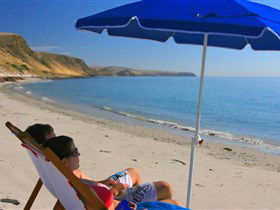 Lady Bay Beach - Accommodation Noosa 0