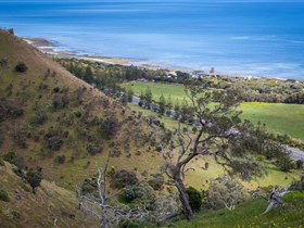 Lady Bay Beach - Accommodation Noosa 1